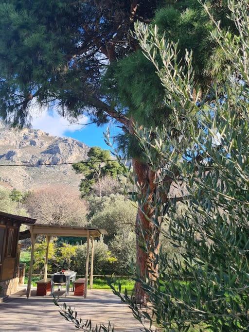 Annas Cozy Cottage Kalymnos Panormos  Ngoại thất bức ảnh